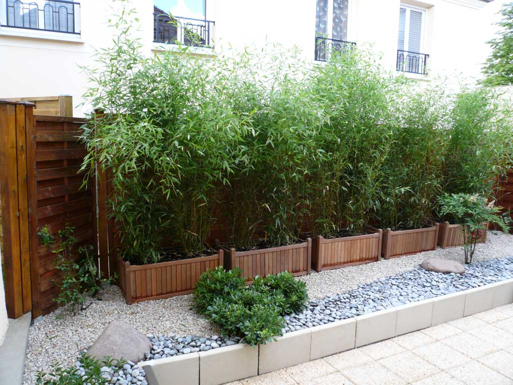 Haie En Bois De Bambou : Les bambous d’ornements en pots, en jardini?res ou en bacs, c’est Haie En Bois De Bambou : Les bambous d’ornements en pots, en jardini?res ou en bacs, c’est